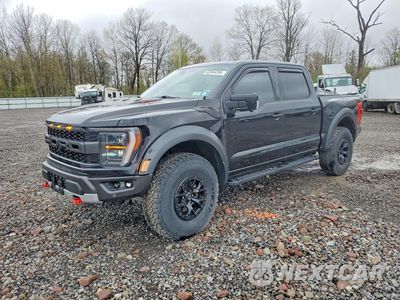 2023 FORD F150 RAPTOR 1FTFW1RG0PFB42466 - główne zdjęcie licytacji z USA - miniatura