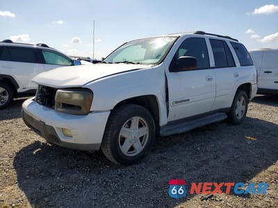 2002 CHEVROLET TRAILBLAZER 1GNDT13S722456345 - główne zdjęcie licytacji z USA - miniatura