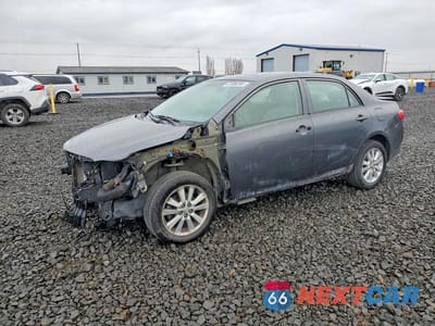 2010 TOYOTA COROLLA LE 1NXBU4EE0AZ282400 - główne zdjęcie licytacji z USA - miniatura