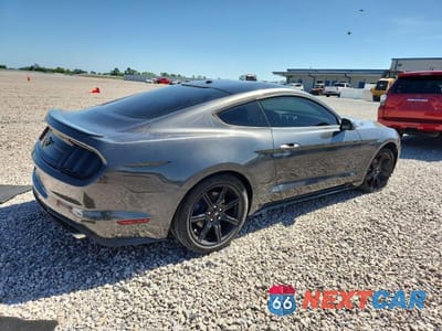 Trzecie zdjęcie samochodu z tyłu: 2019 FORD MUSTANG VIN:1FA6P8TH1K5175438 - miniatura