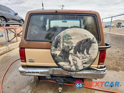 Zdjęcie 6 z 13 samochodu: 1985 FORD BRONCO II VIN:1FMCU14S1FUB72943 - miniatura