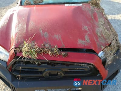 Zdjęcie 11 z 12 samochodu: 2019 TOYOTA TACOMA SR V6 VIN:5TFSZ5AN1KX168245 - miniatura