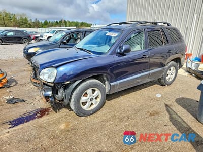 2005 HYUNDAI SANTA FE GLS KM8SC13D55U864557 - główne zdjęcie licytacji z USA - miniatura