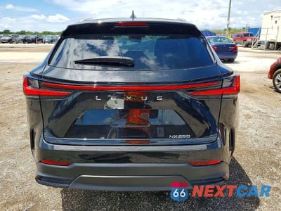 Zdjęcie 6 z 11 samochodu: 2024 LEXUS NX 250 BASE VIN:2T2ADCAZ2RC010874 - miniatura