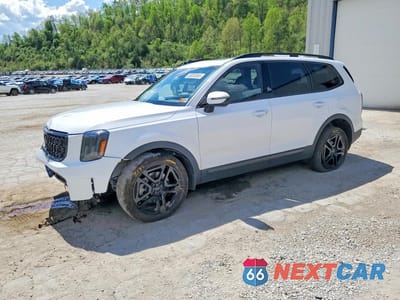 2025 KIA TELLURIDE EX X-LINE 5XYP3DGC7SG705372 - główne zdjęcie licytacji z USA - miniatura