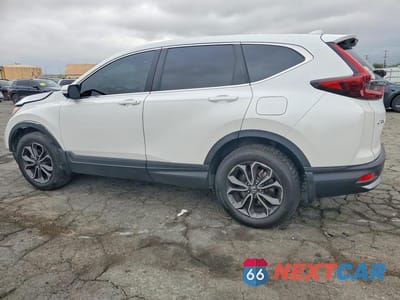 Drugie zdjęcie samochodu z przodu: 2020 HONDA CR-V EX VIN:5J6RW2H53LL014974 - miniatura