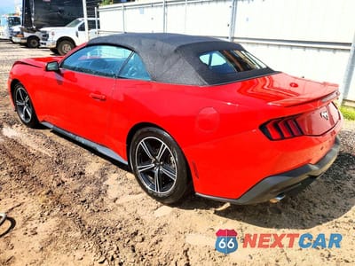 Drugie zdjęcie samochodu z przodu: 2024 FORD MUSTANG VIN:1FAGP8UH0R5140645 - miniatura