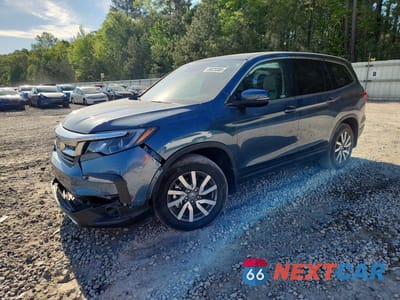 2019 HONDA PILOT EXL 5FNYF5H55KB006900 - główne zdjęcie licytacji z USA - miniatura