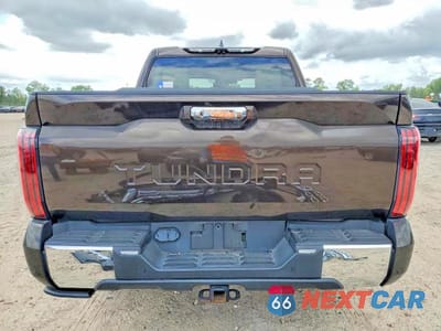 Zdjęcie 6 z 14 samochodu: 2022 TOYOTA TUNDRA 1794 EDITION VIN:5TFMA5AB4NX001405 - miniatura