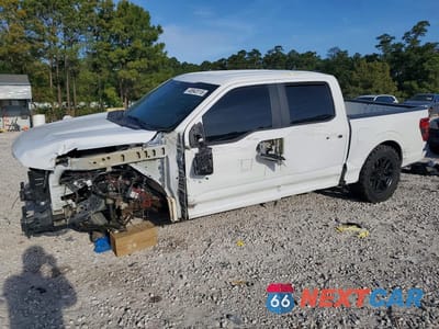 2024 FORD F150 STX 1FTEW2K53RKD52502 - główne zdjęcie licytacji z USA - miniatura