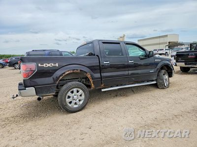 Trzecie zdjęcie samochodu z tyłu: 2013 FORD F150 SUPERCREW VIN:1FTFW1ET7DKD80871 - miniatura
