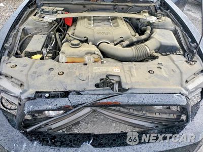 Zdjęcie 11 z 11 samochodu: 2014 FORD MUSTANG GT VIN:1ZVBP8FF8E5332919 - miniatura