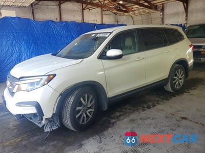 2019 HONDA PILOT EXL 5FNYF5H51KB012533 - główne zdjęcie licytacji z USA - miniatura