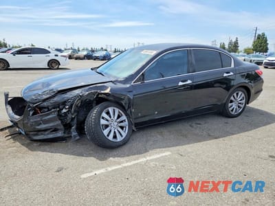 2011 HONDA ACCORD EXL 1HGCP3F84BA025876 - główne zdjęcie licytacji z USA - miniatura