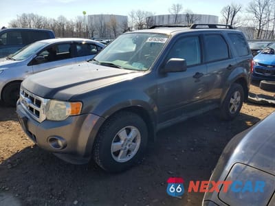 2011 FORD ESCAPE XLT 1FMCU0D77BKC71794 - główne zdjęcie licytacji z USA - miniatura