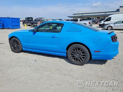 Drugie zdjęcie samochodu z przodu: 2014 FORD MUSTANG VIN:1ZVBP8AM7E5255952 - miniatura