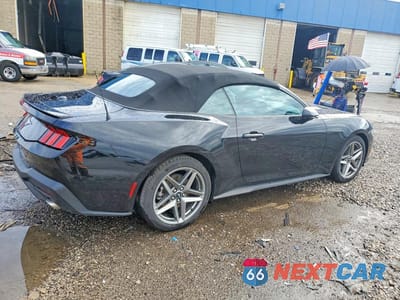 Trzecie zdjęcie samochodu z tyłu: 2024 FORD MUSTANG VIN:1FAGP8UH8R5106243 - miniatura