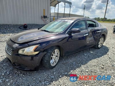 2010 NISS MAXIMA 3.5 S 1N4AA5AP3AC800873 - główne zdjęcie licytacji z USA - miniatura