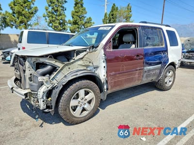 2011 HONDA PILOT EXL 5FNYF3H54BB014846 - główne zdjęcie licytacji z USA - miniatura