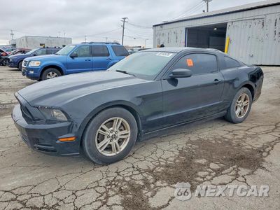 2014 FORD MUSTANG 1ZVBP8AM1E5264288 - główne zdjęcie licytacji z USA - miniatura