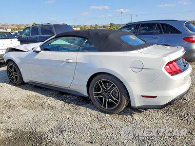 Drugie zdjęcie samochodu z przodu: 2019 FORD MUSTANG VIN:1FATP8UH5K5148681 - miniatura
