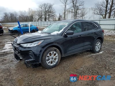 2024 FORD ESCAPE ACTIVE 1FMCU9GN2RUB43573 - główne zdjęcie licytacji z USA - miniatura