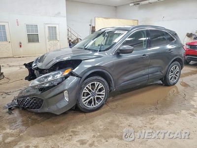 2020 FORD ESCAPE SEL 1FMCU9H95LUA30984 - główne zdjęcie licytacji z USA - miniatura