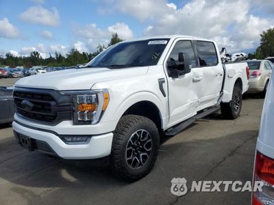 2023 FORD F150 SUPERCREW 1FTFW1E51PKD40646 - główne zdjęcie licytacji z USA - miniatura