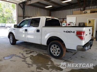 Drugie zdjęcie samochodu z przodu: 2014 FORD F150 SUPERCREW VIN:1FTFW1EF8EKG37452 - miniatura