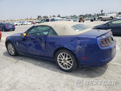 Drugie zdjęcie samochodu z przodu: 2013 FORD MUSTANG VIN:1ZVBP8EMXD5228947 - miniatura
