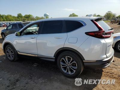 Drugie zdjęcie samochodu z przodu: 2020 HONDA CR-V EX VIN:2HKRW2H5XLH642332 - miniatura