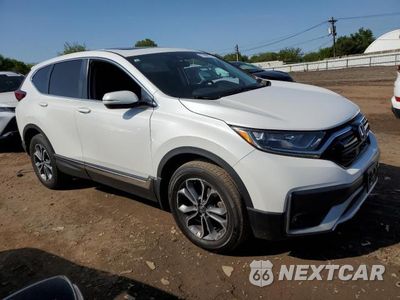 Czwarte zdjęcie samochodu z boku: 2020 HONDA CR-V EX VIN:2HKRW2H5XLH642332 - miniatura