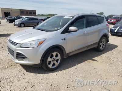 2014 FORD ESCAPE SE 1FMCU0G90EUA93359 - główne zdjęcie licytacji z USA - miniatura
