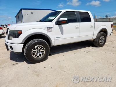 2013 FORD F150 SUPERCREW 1FTFW1ETXDFB51724 - główne zdjęcie licytacji z USA - miniatura