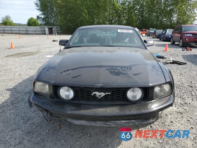 Piąte zdjęcie samochodu w środku: 2005 FORD MUSTANG GT VIN:1ZVFT82H355101074 - miniatura