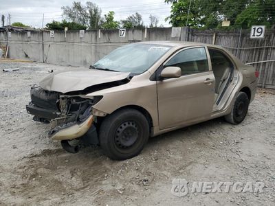 2010 TOYOTA COROLLA BASE 2T1BU4EE7AC321534 - główne zdjęcie licytacji z USA - miniatura