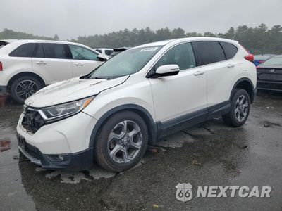 2019 HONDA CR-V EX 2HKRW2H59KH642353 - główne zdjęcie licytacji z USA - miniatura