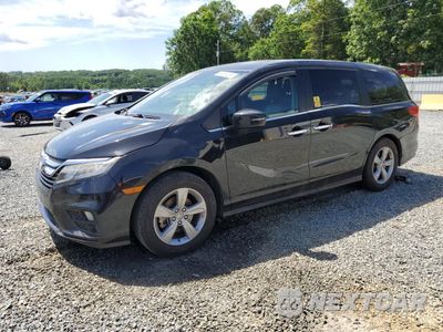 2019 HONDA ODYSSEY EXL 5FNRL6H71KB052020 - główne zdjęcie licytacji z USA - miniatura