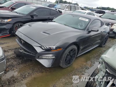 2019 FORD MUSTANG 1FA6P8TH4K5120594 - główne zdjęcie licytacji z USA - miniatura