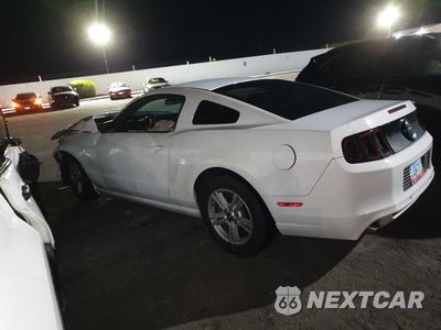 Drugie zdjęcie samochodu z przodu: 2014 FORD MUSTANG VIN:1ZVBP8AM5E5250393 - miniatura