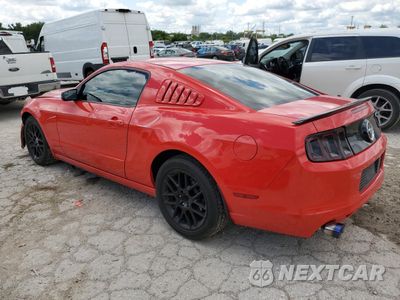 Drugie zdjęcie samochodu z przodu: 2014 FORD MUSTANG VIN:1ZVBP8AM4E5309868 - miniatura