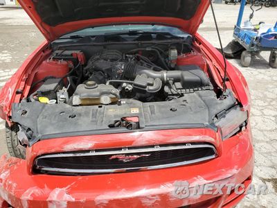 Zdjęcie 11 z 14 samochodu: 2014 FORD MUSTANG VIN:1ZVBP8AM4E5309868 - miniatura