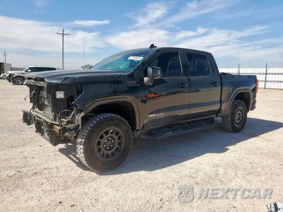 2024 GMC SIERRA K1500 AT4X 3GTUUFEL6RG181416 - główne zdjęcie licytacji z USA - miniatura