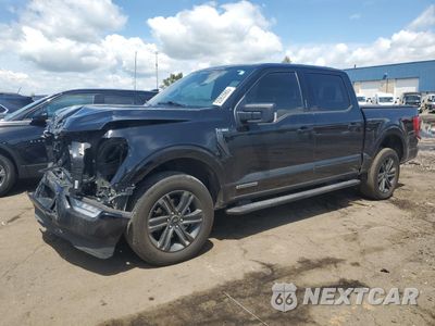2023 FORD F150 SUPERCREW 1FTFW1ED8PFB64033 - główne zdjęcie licytacji z USA - miniatura
