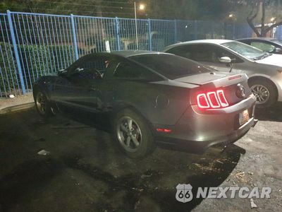Drugie zdjęcie samochodu z przodu: 2013 FORD MUSTANG VIN:1ZVBP8AM2D5245344 - miniatura