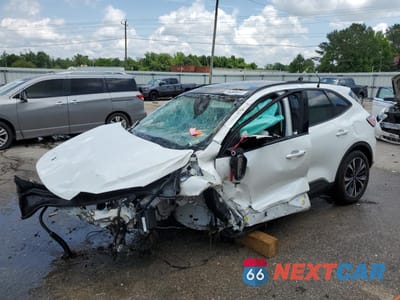 2022 FORD ESCAPE SE 1FMCU0G66NUB83637 - główne zdjęcie licytacji z USA - miniatura