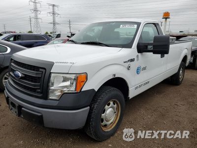 2013 FORD F150 1FTMF1CM9DKG35782 - główne zdjęcie licytacji z USA - miniatura