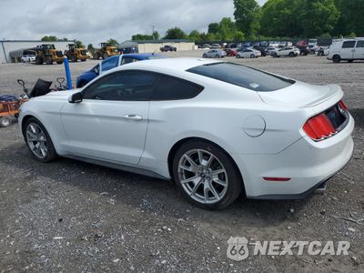 Drugie zdjęcie samochodu z przodu: 2015 FORD MUSTANG VIN:1FA6P8TH1F5379713 - miniatura