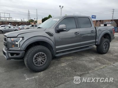 2019 FORD F150 RAPTOR 1FTFW1RG5KFC46637 - główne zdjęcie licytacji z USA - miniatura