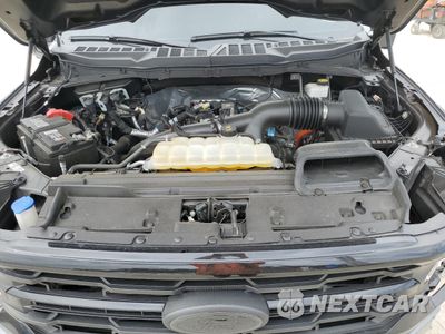Zdjęcie 11 z 14 samochodu: 2024 FORD F150 XLT VIN:1FTEW3KP4RFB00757 - miniatura